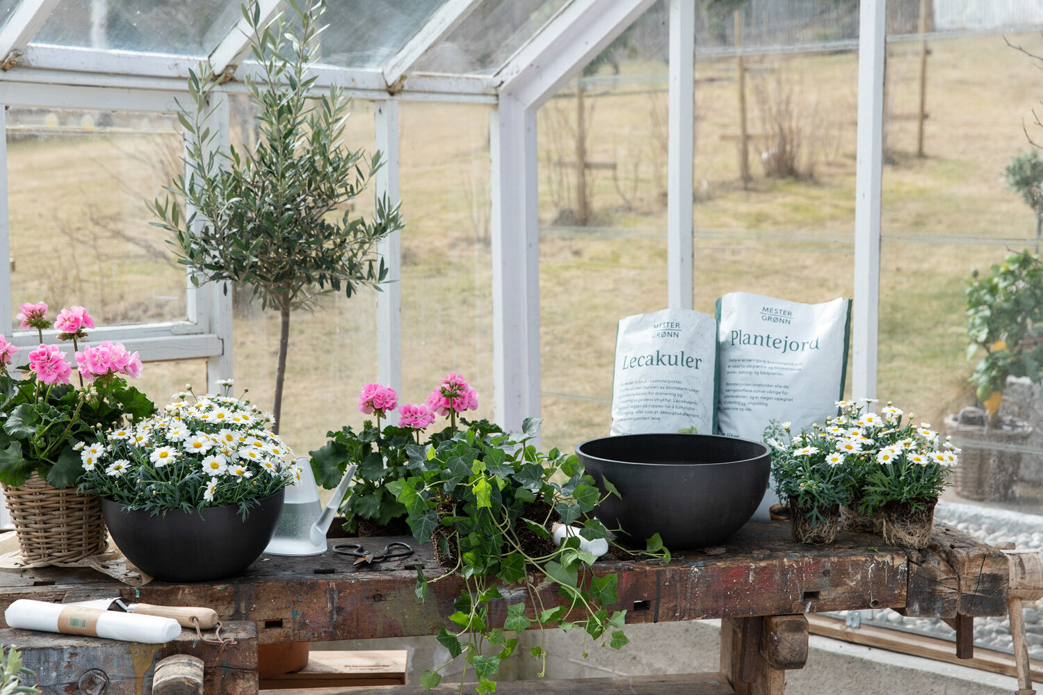 Planting med jord og leca